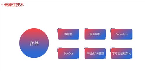 云原生模式 設(shè)計擁抱變化的軟件（一）——軟件設(shè)計與開發(fā)
