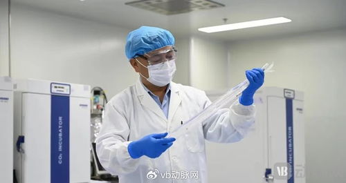 國(guó)產(chǎn)生物型人工血管獲創(chuàng)新通道認(rèn)可，心血管治療迎來新突破